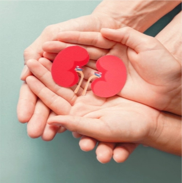 Kidney Care